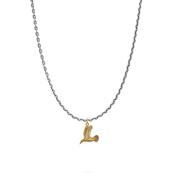 X062SBR necklace & pendant silver - brass