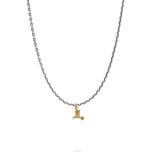 X063SBR necklace & pendant silver - brass