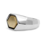 X201SGI signet ring silver - goldplated SXM - Edged Collection